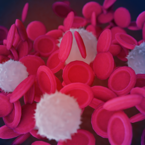 Bloedlichamen rood en wit